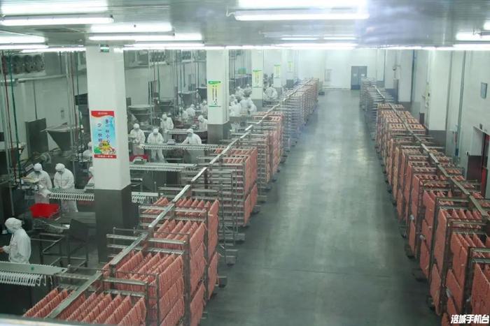 双汇王中王-绵阳双汇 产销两旺干劲足，技术创新促发展——解析腌制食品组合装的竞争力