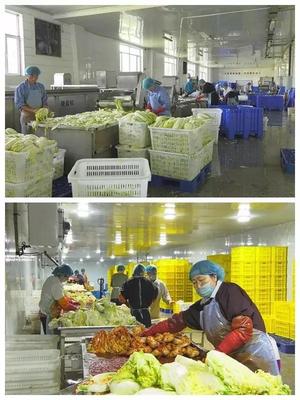 制出美味辣白菜，销往韩国好买卖——奈曼有家公司在韩国“火”了